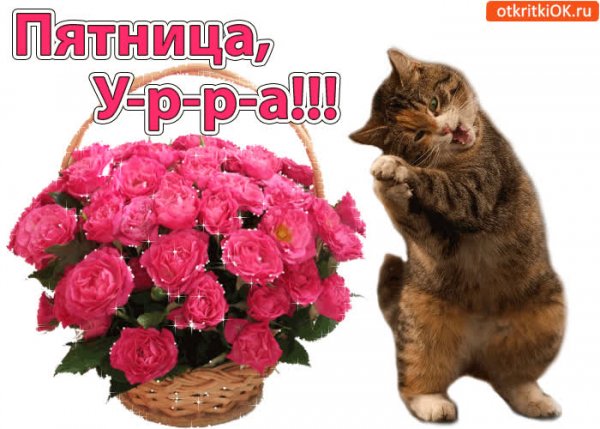 Пятница пришла