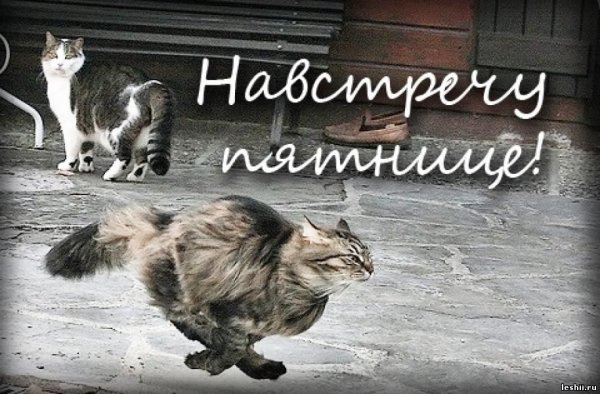 С пятницей картинки