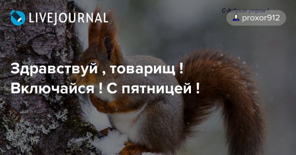 Здравствуй товарищ картинки