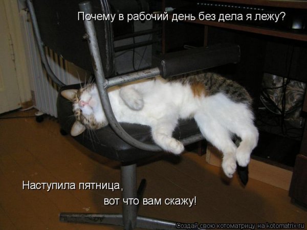 Пятница рабочий день приколы
