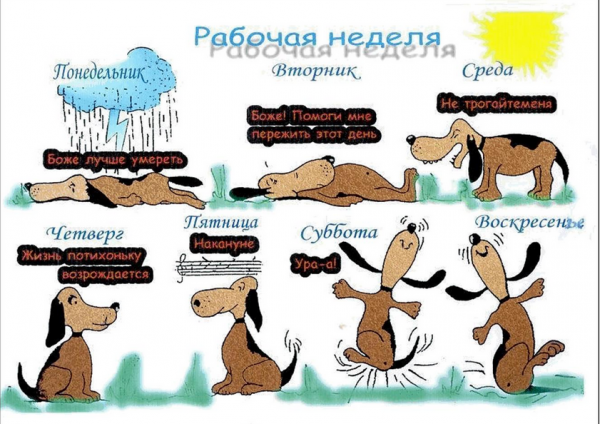 С рабочей неделей картинки прикольные