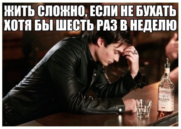 Предложение забухать