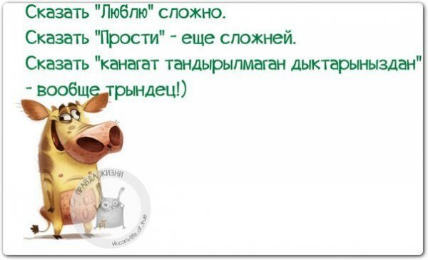 Смешные выражения про пятницу