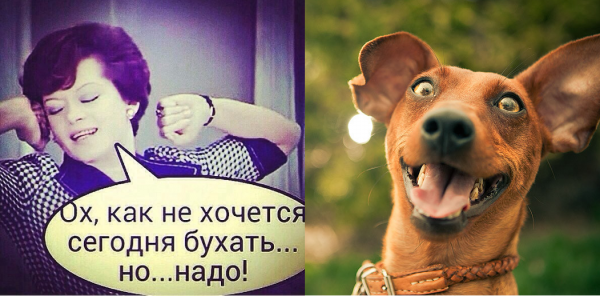 Пятница приколы