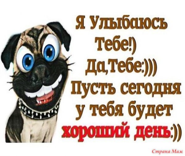 Пятница улыбка