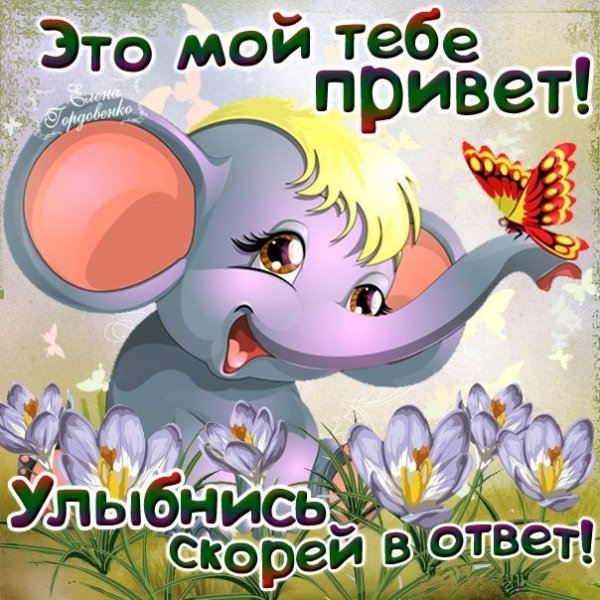 Хомячок в цветах