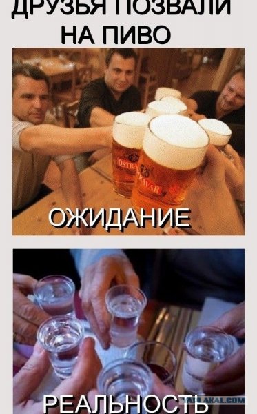 Друзья пригласили на пиво ожидание и реальность