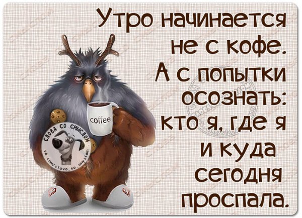 Статусы про пятницу прикольные