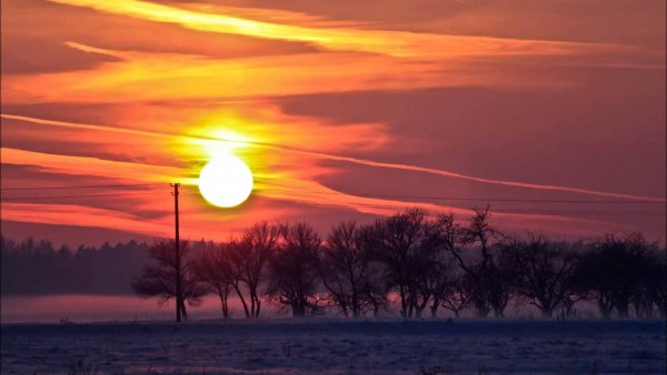 Солнце снова взойдет
