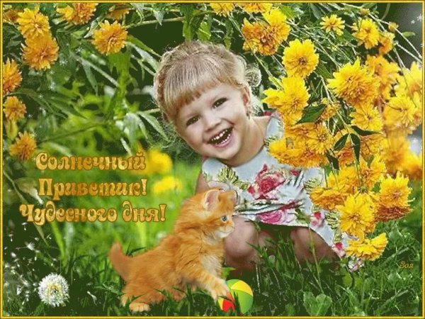 Прекрасного солнечного дня