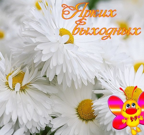 Солнечных выходных и отличного настроения