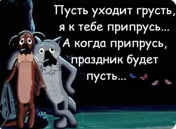 Прикольные цитаты для поднятия настроения