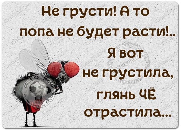 Не грусти высказывания