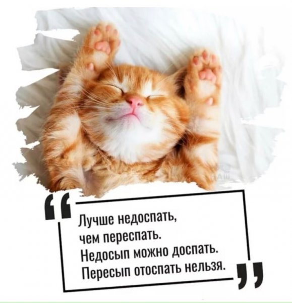 Всемирный день сна 2020