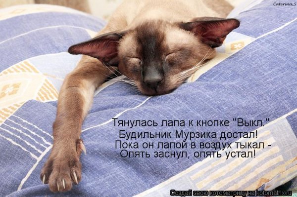 Спать охота