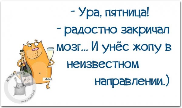 Смешные фразы про пятницу и выходные прикольные