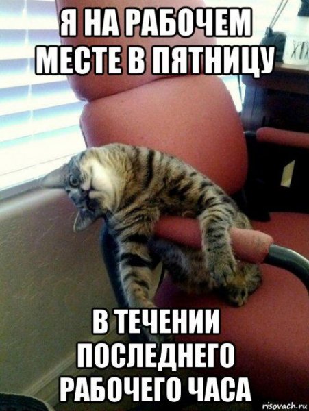Рабочий день приколы