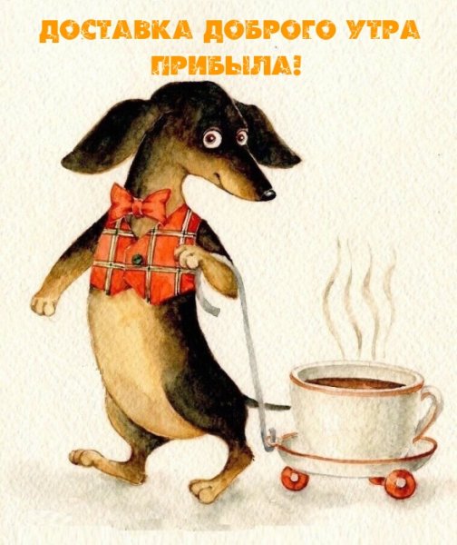 Инга Измайлова иллюстрации таксы
