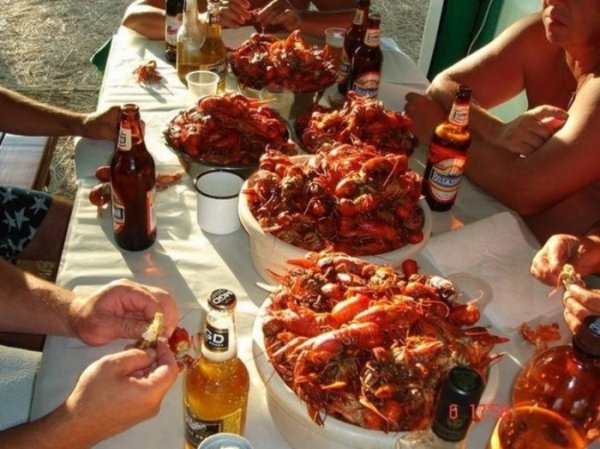Застолье с пивом