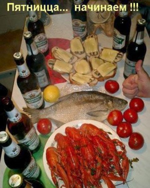 Накрытый стол с пивом и закуской