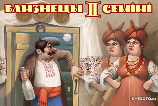 Близнецы приколы
