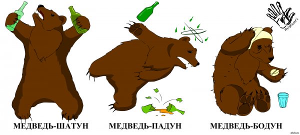 Медведь шатун прикол