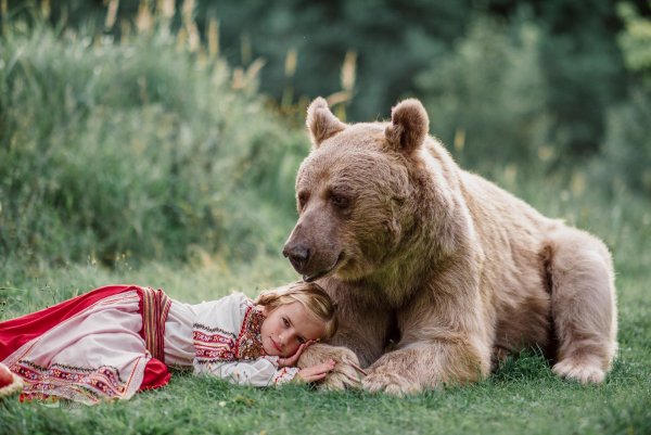 Медведь с медвежатами для детей