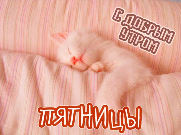 С добрый утром пчтниуа