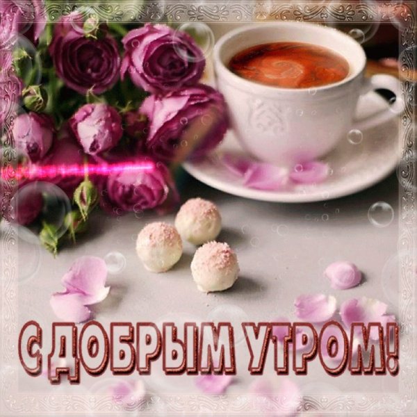Доброго светлого дня