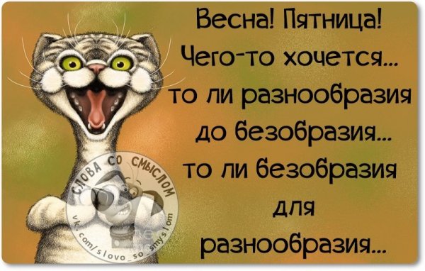 Смешные высказывания про пятницу