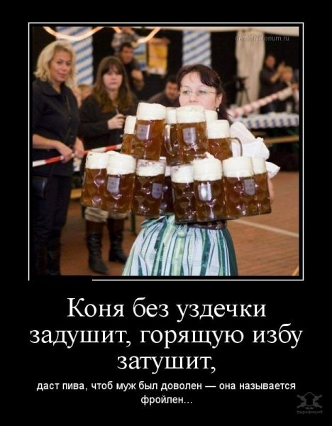 Сова с пивом
