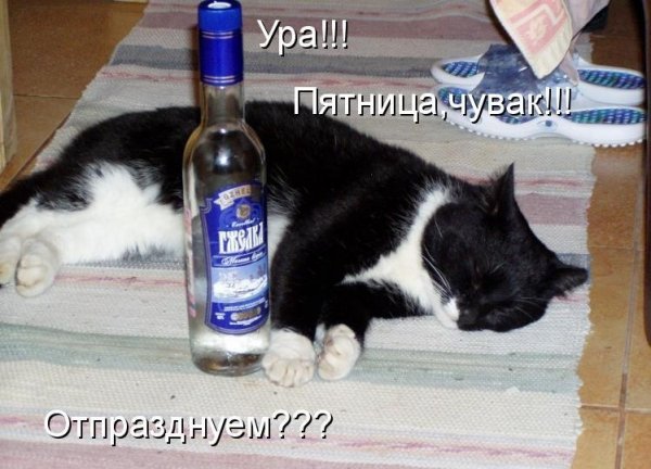 Не спится не спится не спиться