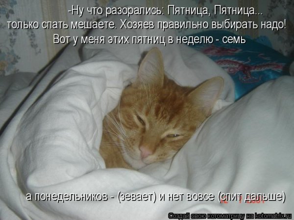 Работайте а я посплю