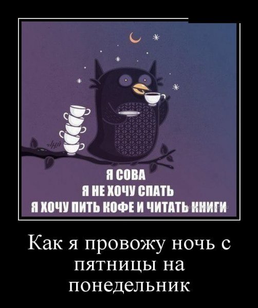 Пятничные демотиваторы
