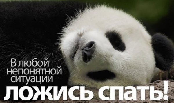 В любой непонятной ситуации ложись спать