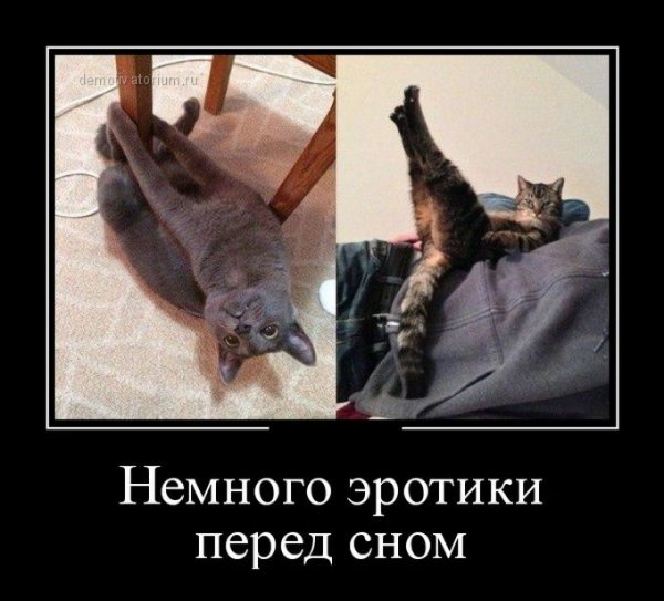 Демотиваторы для поднятия нас