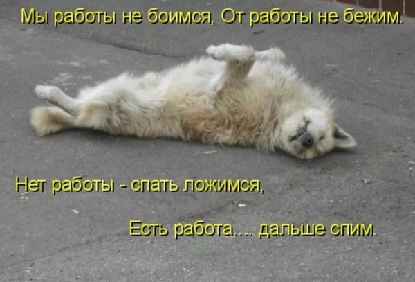 Бегу на работу