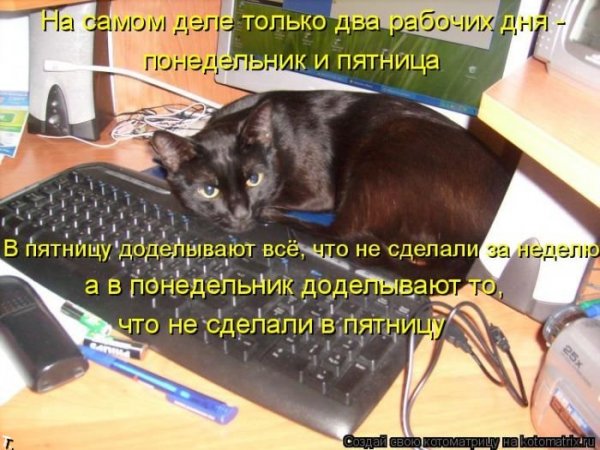 С окончанием рабочего понедельника