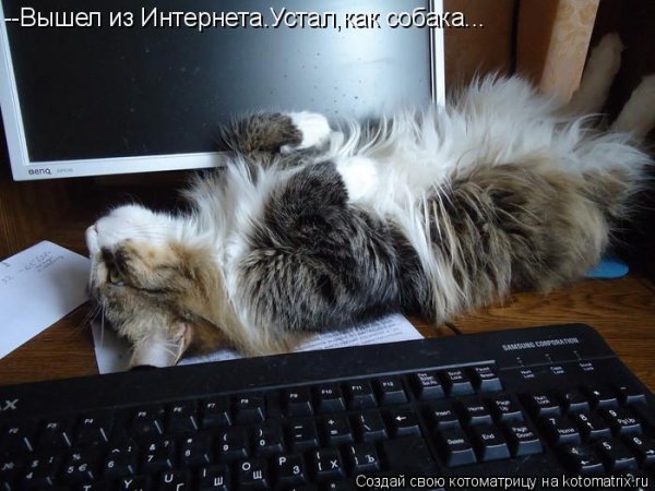Афоризмы про интернет смешные