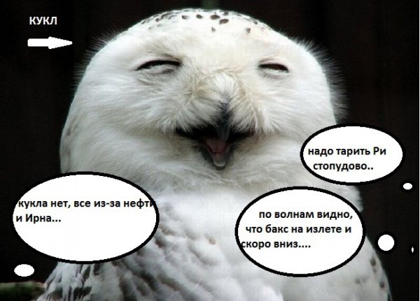 Пятница Сова