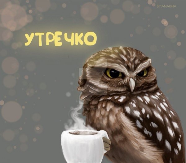 С добрым утром Сова