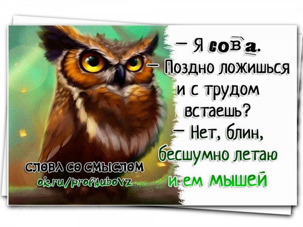 Я Сова