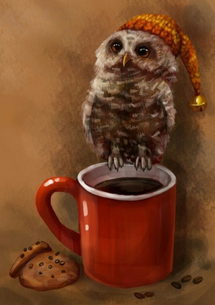Сова пьет кофе