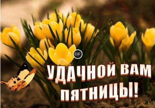 Прекрасного дня пятницы