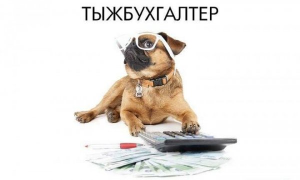 Поздравления с днём бухгалтера прикольные открытки