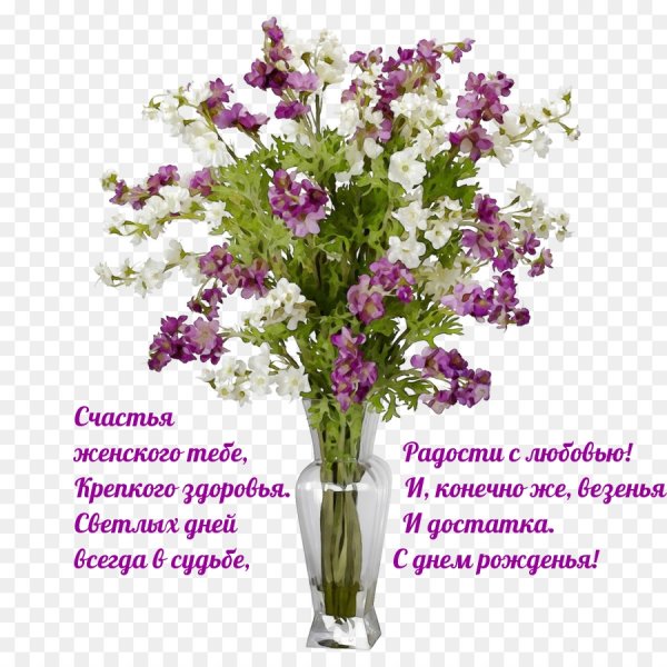 Женское счастье