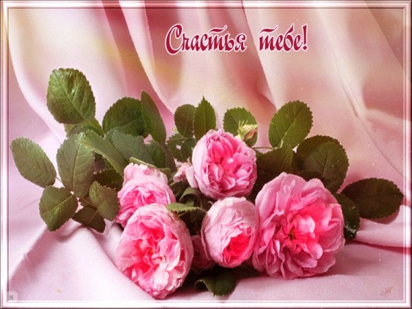 Желаем счастья
