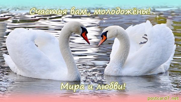 С днем свадьбы счастья и любви