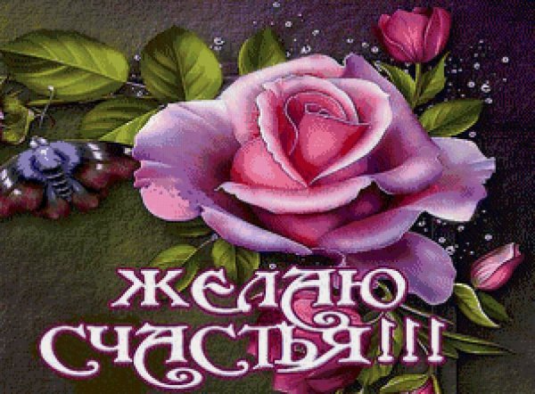 Делить счастье