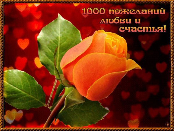 Пожелания счастья и добра